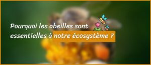 Lire la suite à propos de l’article Pourquoi les abeilles sont essentielles à notre écosystème ?