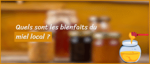 Lire la suite à propos de l’article Quels sont les bienfaits du miel local ?